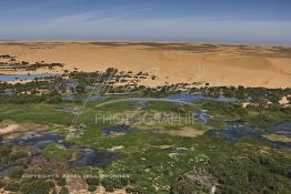 Image du Maroc Professionnelle de  Vue aérienne de la partie stagnante de la Sakia Al Hamra au environ de Laayoune où des oiseaux migrateurs comme les flamants roses trouvent refuge et repos durant leur voyage selon la saison, le 9 Avril 2010. (Photo / Abdeljalil Bounhar)


 